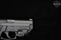 Sig Sauer P229R Elite .40 S&W Nitron in Excellent Condition Image 5