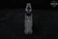 Sarsilmaz (SAR) P8 S 9mm Luger Black in Excellent Condition Image 4