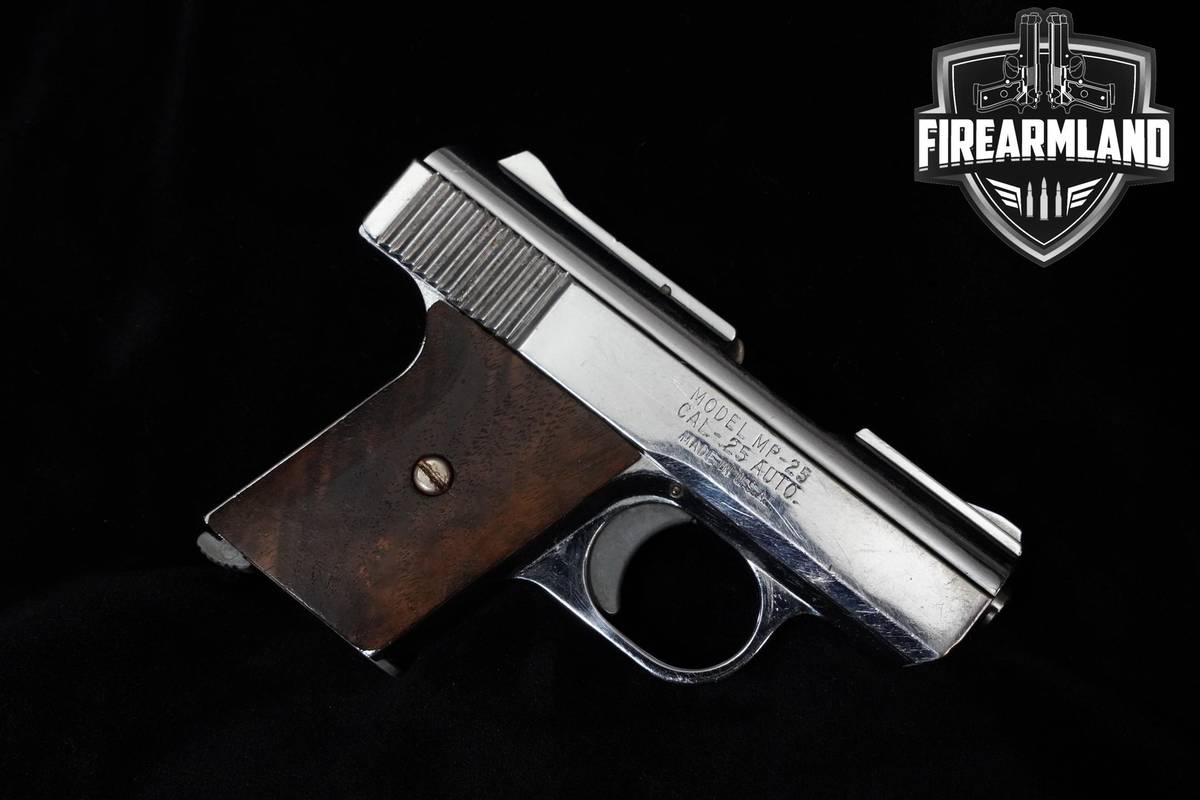 1984-92 RAVEN ARMS MP-25 2" Nickel Finish MP-25 +ORIG BOX