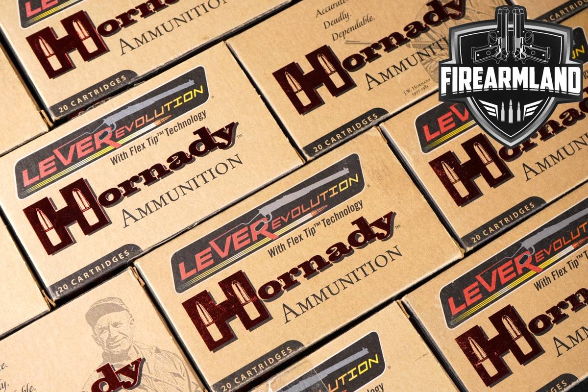 280 RDS! 308 Winchester Ammo Ammunition
