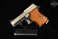 F.I.E Titan .25 ACP (6.35mm) Two-Tone in Good Condition Image 2