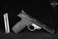 Smith & Wesson (S&W) Model 22A-1 .22 LR Two-Tone in Good Condition Image 2