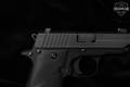 Sig Sauer P238 .380 ACP Nitron in Very Good Condition Image 4