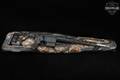 Sig Sauer Cross 6.5 Creedmoor Black in Very Good Condition Image 2
