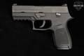 Sig Sauer P250 Compact .40 S&W Black in Good Condition Image 2