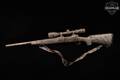 Savage Arms Model 10 Predator Hunter .204 Ruger Camouflage in Very Good Condition Image 2