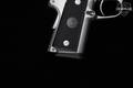 2004 - 2008 Para Ordnance Carry 12 LDA Stainless Light Double Action .45 ACP Stainless Steel in Excellent Condition Image 3