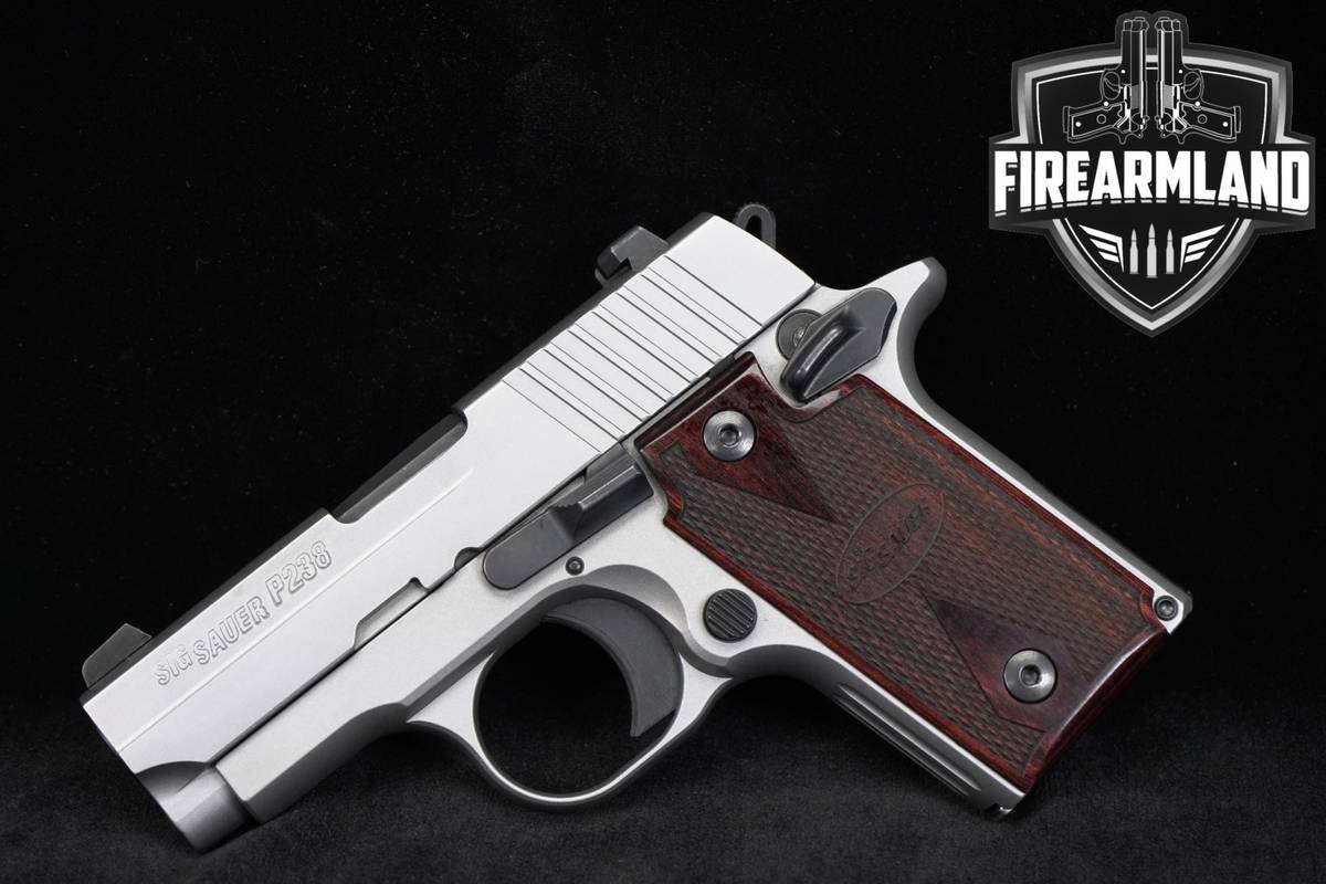 Sig Sauer P238 HD 380 ACP 1911 Micro 2.7" SAO +NIGHT SIGHTS