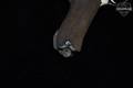1920 Erfurt P08 Luger 9mm Luger Blued in Good Condition Image 3
