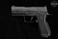 Sig Sauer P320 Carry Pro; X-Series; Law Enforcement 9mm Luger Black in Good Condition Image 5