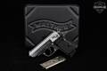 Walther PPK Stainless .380 ACP Stainless in Excellent Condition Image 2