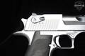 Magnum Research Desert Eagle MK XIX Brushed Chrome .50 AE Brushed Chrome in Excellent Condition Image 4