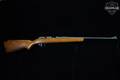 Glenfield-Marlin Model 25 .22 S/L/LR Blued in Poor Condition Image 2