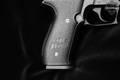 2011 Sig Sauer Mosquito .22 LR Nitron in Fair Condition Image 4