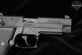 2011 Sig Sauer Mosquito .22 LR Nitron in Fair Condition Image 5