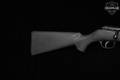 Savage Arms Mark II .22 LR blued in Good Condition Image 3