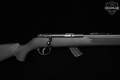 Savage Arms Mark II .22 LR blued in Good Condition Image 4