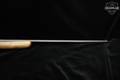 Sears Roebuck & Co 101.10041 20 Gauge Case Hardened in Excellent Condition Image 3