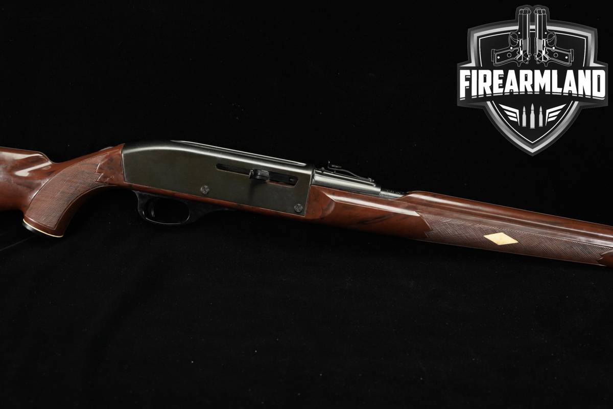Remington Nylon 66 Mohawk Brown 22LR 19.5"