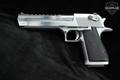 Israel Weapon Industries (IWI) Desert Eagle Mark XIX .44 Mag. Brushed Chrome in Very Good Condition Image 5