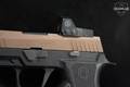 Sig Sauer P320 X-Carry 9mm Luger Two-Tone in Good Condition Image 3