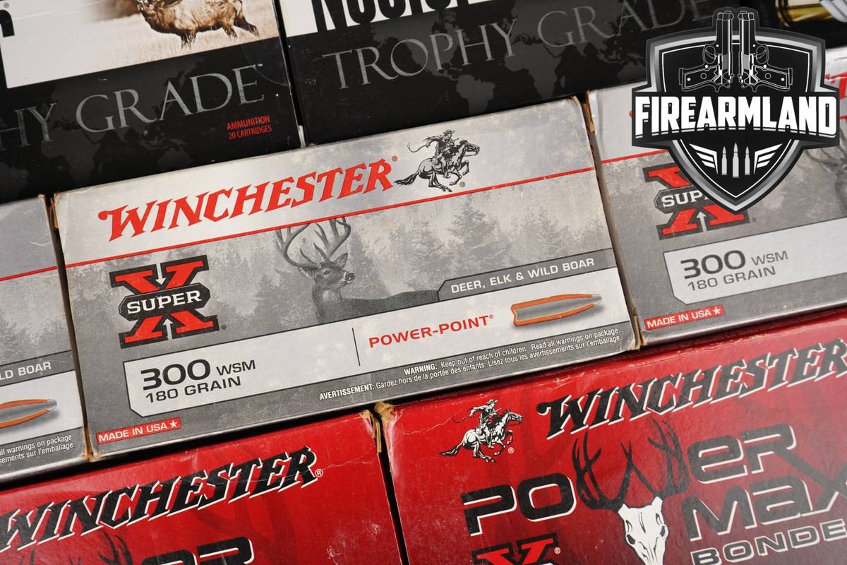 220 RDS! 300 WSM Winchester Short Mag Ammo 300WSM