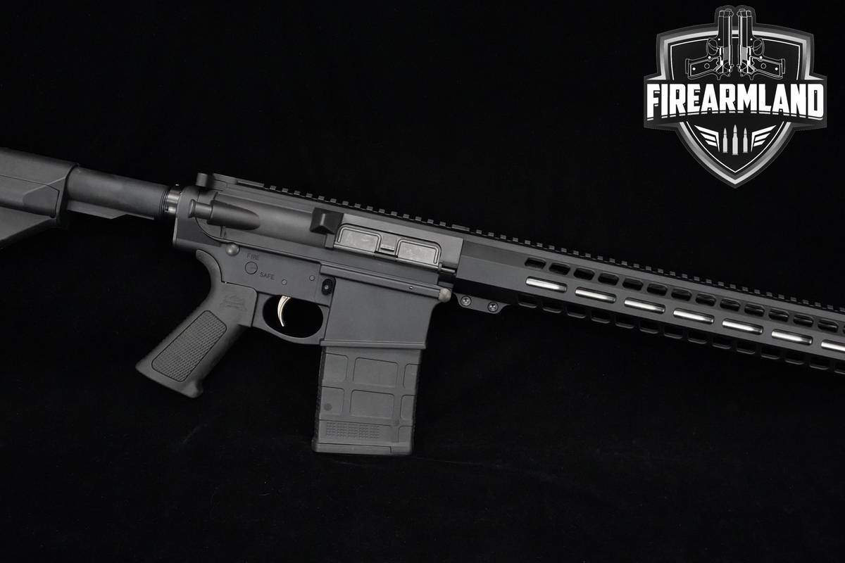 Palmetto State Armory (PSA) G3-10 308 Win 20.5" PSA-G3-10 PA10 PA-10 2 MAGS