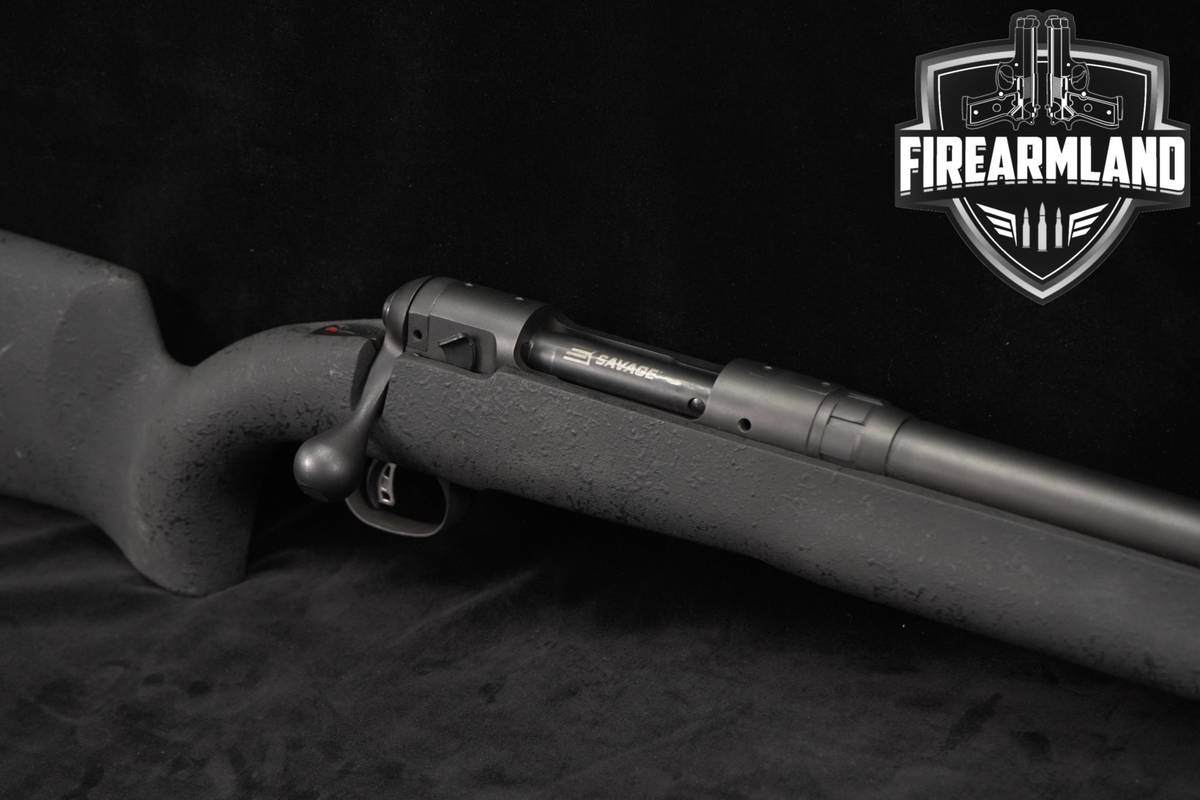Savage Arms Model 10 FCP McMillan Law Enforcement 24" Blued & Gray M10