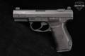 Walther / Smith & Wesson (S&W) SW99 .40 S&W Black in Good Condition Image 3