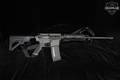 Bushmaster Carbon-15 5.56mm NATO Black in Excellent Condition Image 3