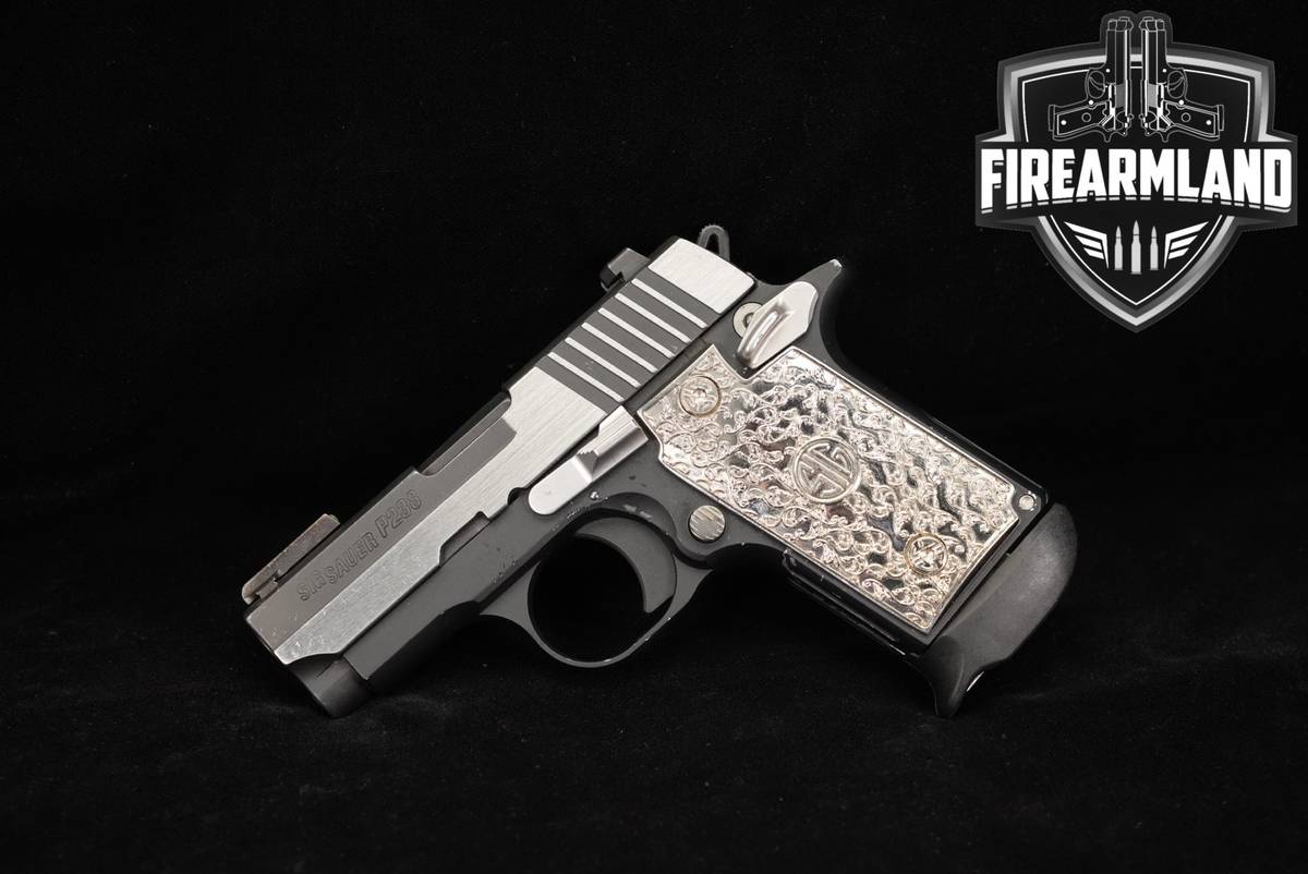 Sig Sauer P238 Equinox Custom Shop 380 ACP 2.7 P 238