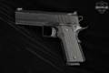 Springfield Armory Emissary All-Black .45 ACP Black in Excellent Condition Image 5