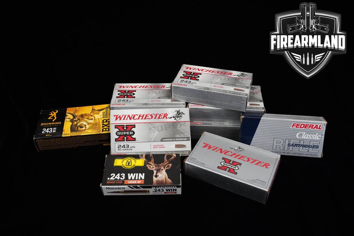 243 Win Ammo 243-Win Ammo 200 ROUNDS