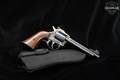 1981 Harrington & Richardson (H&R) Model 686 .22 LR Case Hardened/Blued in Good Condition Image 2