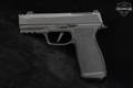 Sig Sauer P365 AXG Legion 9mm Luger Legion Gray in Good Condition Image 3
