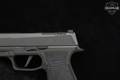 Sig Sauer P365 AXG Legion 9mm Luger Legion Gray in Good Condition Image 5