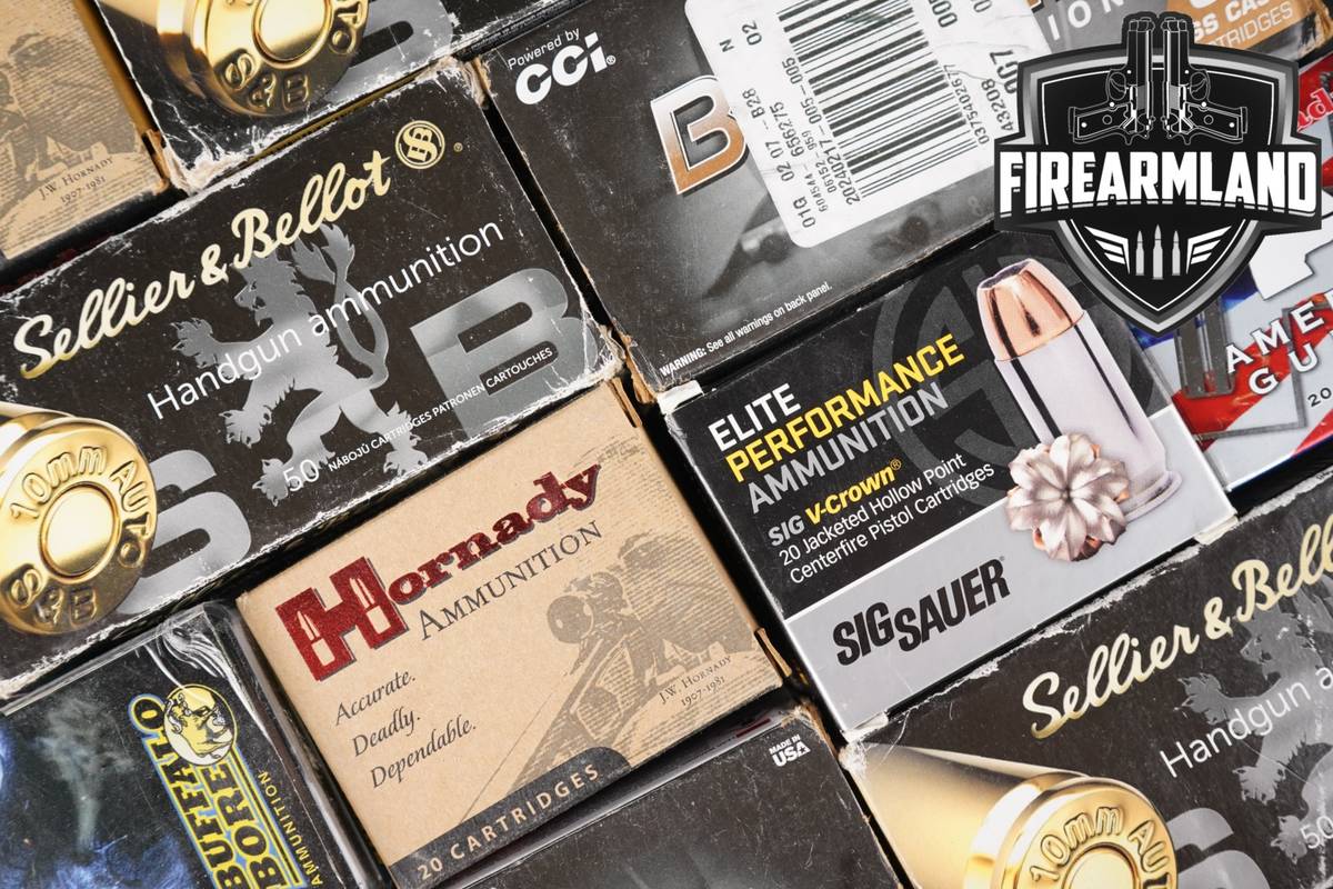 800 RDS! 10mm Ammo Ammunition