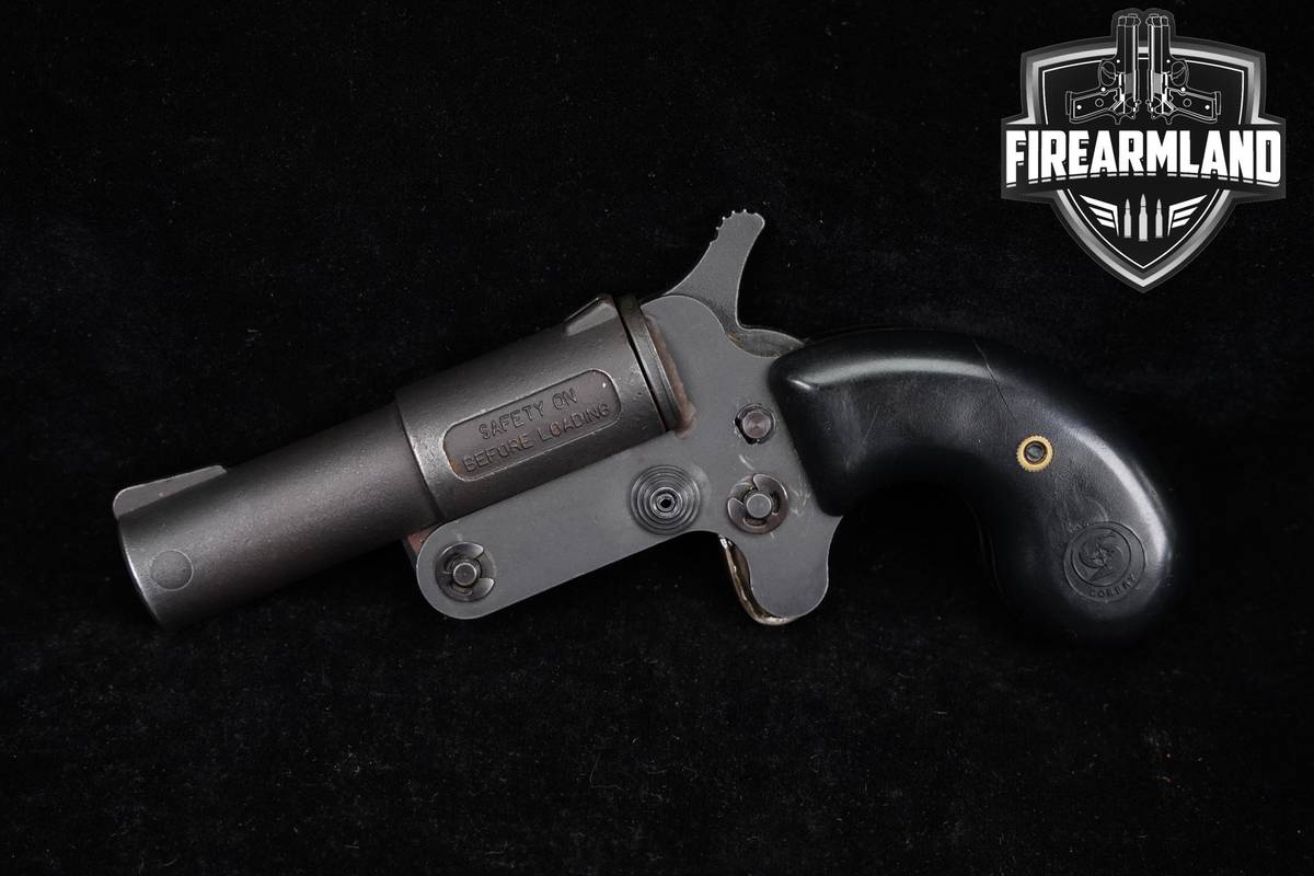 MICRO-COMPACT FMJ Model D 45 Colt 3.25" Grey +HOLSTER