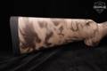 Mossberg Patriot .300 Win. Mag. Kryptek Camouflage in Good Condition Image 4