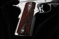 Dan Wesson Pointman Nine 9mm Luger Stainless Steel in Like-New Condition Image 3