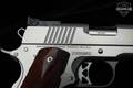 Dan Wesson Pointman Nine 9mm Luger Stainless Steel in Like-New Condition Image 4
