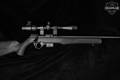 Rossi RB17 .17 HMR Black in Excellent Condition Image 4
