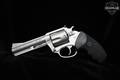 Charter Arms 74442 Target .44 Special Stainless Steel in Good Condition Image 2