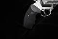 Charter Arms 74442 Target .44 Special Stainless Steel in Good Condition Image 3