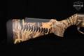 Benelli Super Vinci 12 Gauge Camo in Very Good Condition Image 4