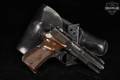 Llama Model XV Especial .22 LR Blued in Good Condition Image 2