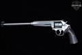 Smith & Wesson (S&W) Model 647-1 Performance Center Varminter .17 HMR Brushed Stainless in Very Good Condition Image 2