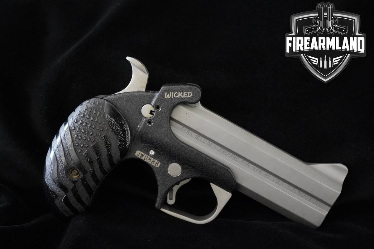 JOHN WICK 3 Bond Arms Wicked 45 LC 410 9mm Luger 4.25" Wicked +ORIG CASE