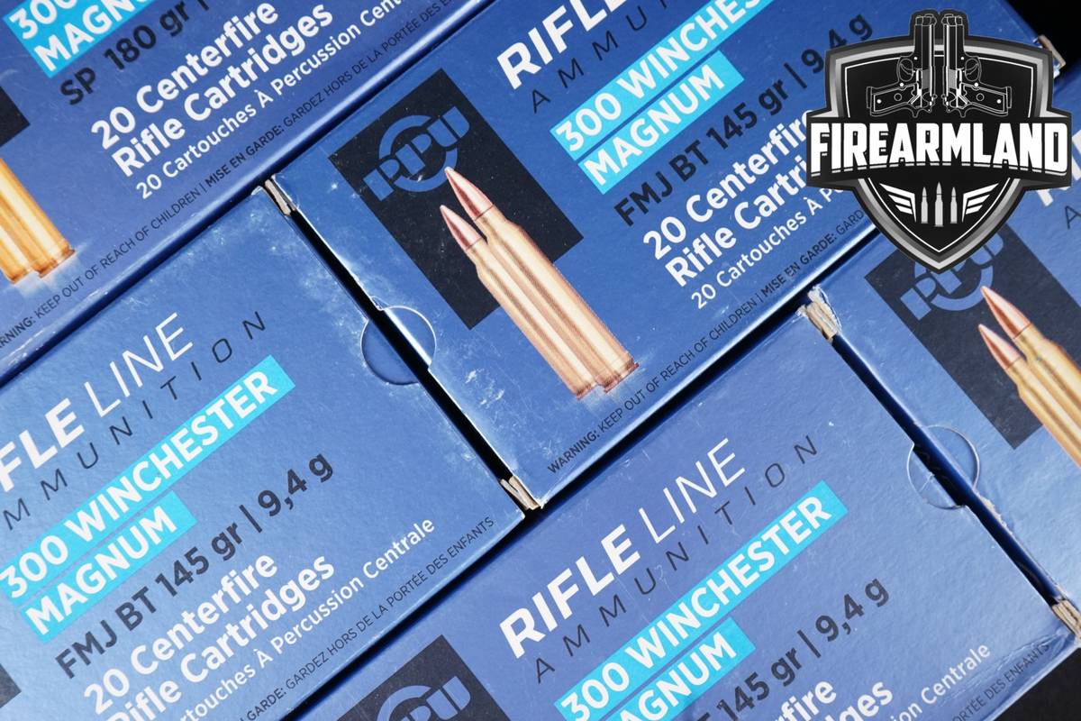 100 RDS! 300 Win Magnum Ammo Mag Ammunition