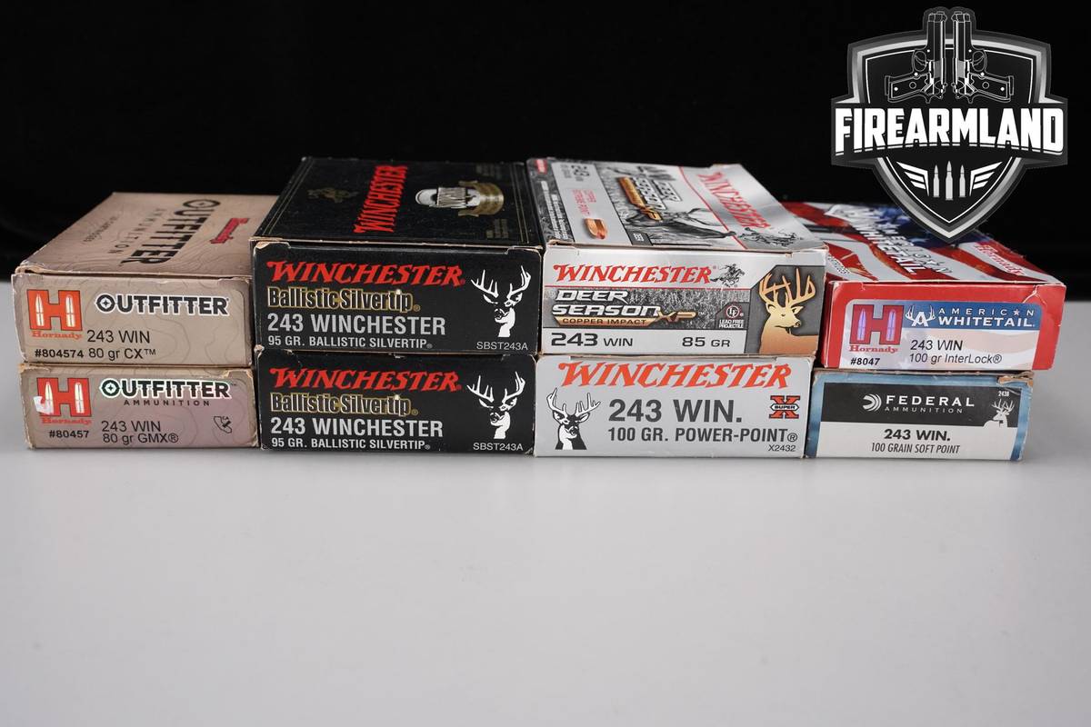 160 RDS! 243 Win Ammo 243Win